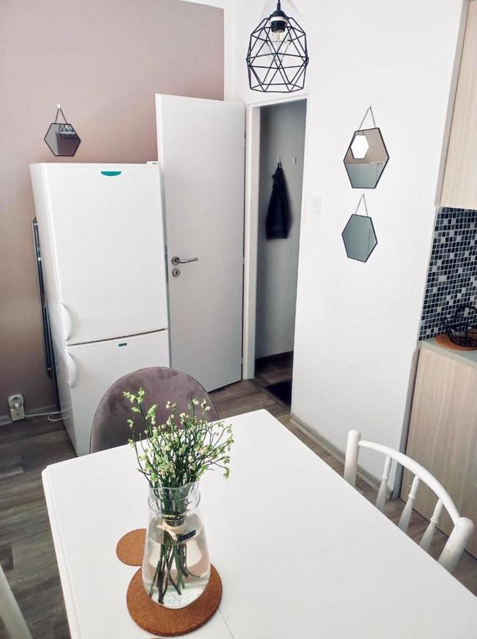 Apartman Domov 德辛 外观 照片