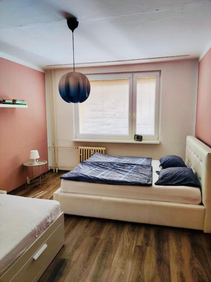 Apartman Domov 德辛 外观 照片