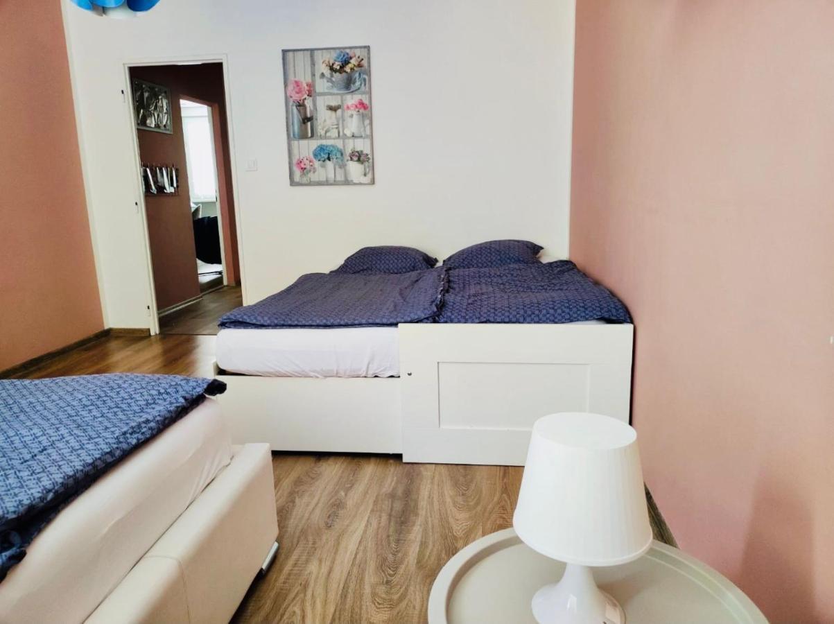 Apartman Domov 德辛 外观 照片